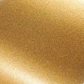 Powder Coated Inner Rim Shell - Race Gold