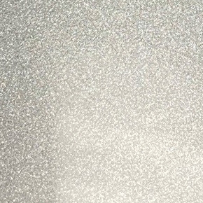 Powder Coated Inner Rim Shell - Silver